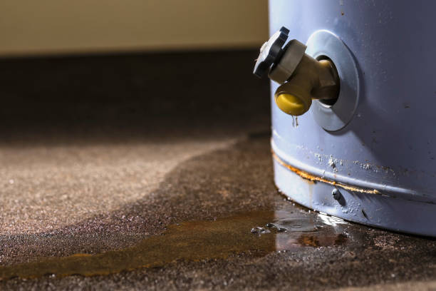 Best Water damage restoration near me  in Alton, IL