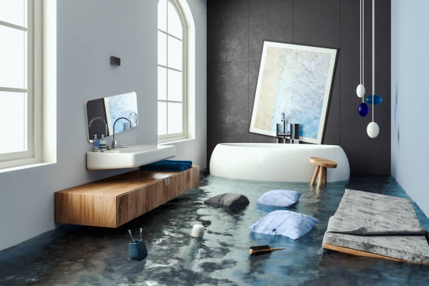 Best Carpet water damage restoration  in Alton, IL