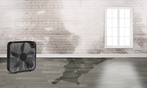 Best Residential water damage restoration  in Alton, IL