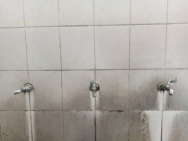 Best Fire Damage Restoration  in Alton, IL