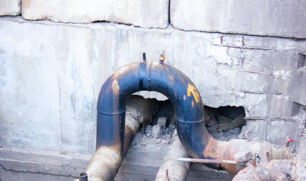 Best Water damage restoration near me  in Alton, IL